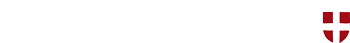 snow logo